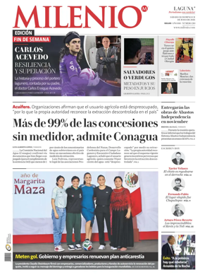 Cover of Milenio Laguna