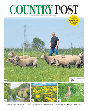 Cover of Country Week