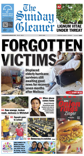 Cover of The Gleaner