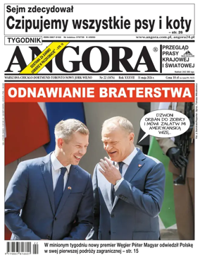 Cover of Angora