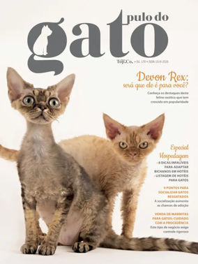 Cover of Pulo do gato
