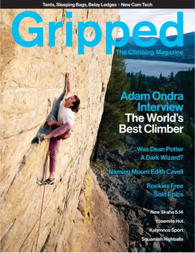 Cover of Gripped