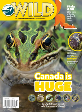Cover of Wild