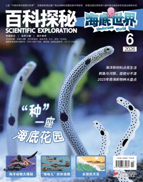 Cover of Explore More on Sea