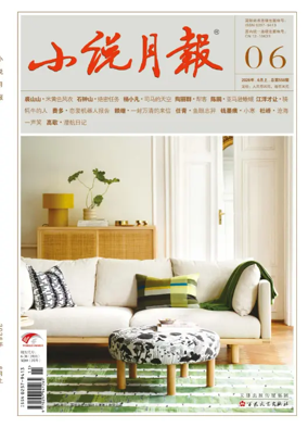 Cover of Fiction Monthly