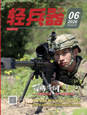 Cover of Small Arms