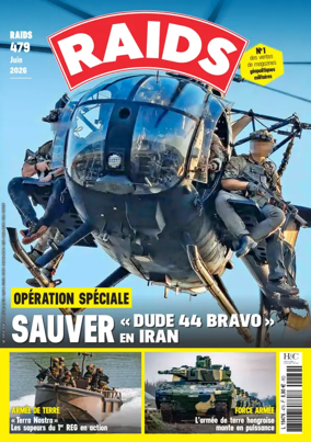 Cover of RAIDS