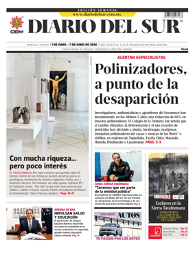 Cover of Diario del Sur