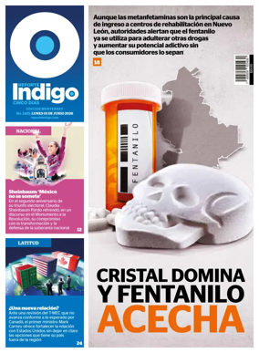 Cover of Reporte Indigo Monterrey