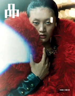 Cover of PIN Prestige (Singapore)
