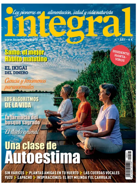Cover of Integral (Connecor)