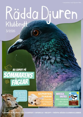 Cover of Radda Djuren