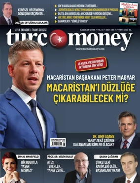 Cover of Turcomoney