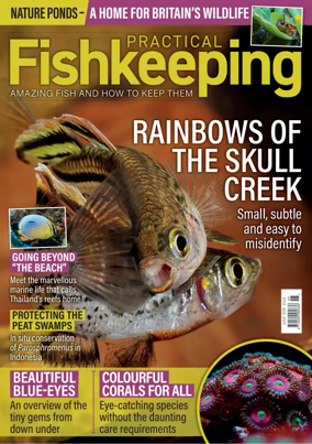 Cover of Practical Fishkeeping