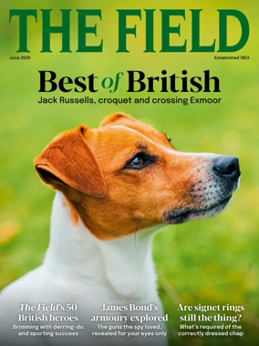 Cover of The Field