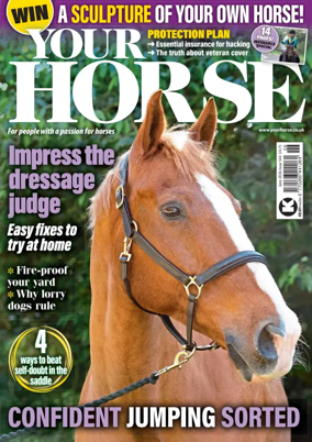 Cover of Your Horse (UK)