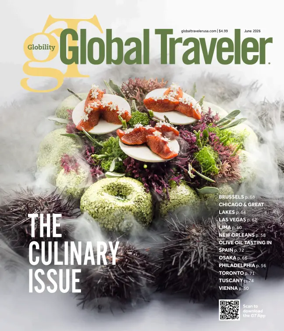 Cover of Global Traveler