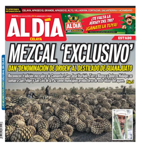 Cover of Periodico Al Dia (Celaya)