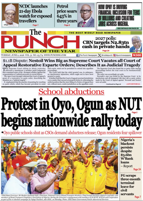 Cover of The Punch