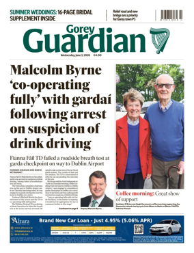 Cover of Gorey Guardian