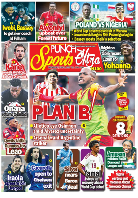Cover of Punch Sports Extra