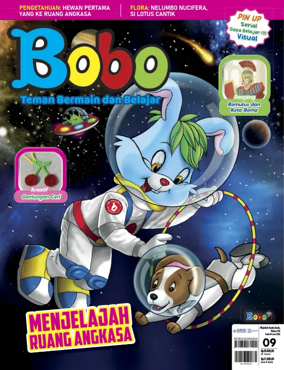 Cover of Bobo