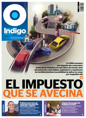 Cover of Reporte Indigo Nacional