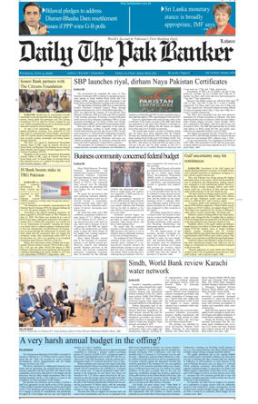Cover of The Pak Banker