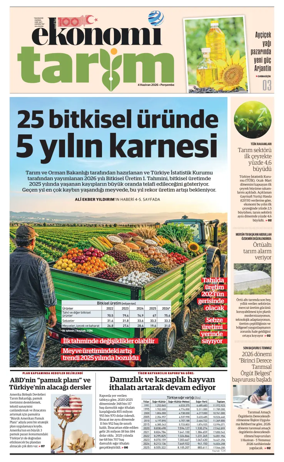 Cover of NBE - Sektor Ekleri