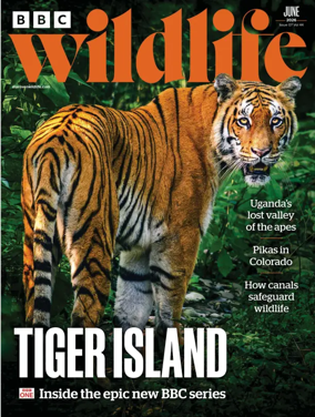Cover of BBC Wildlife Magazine