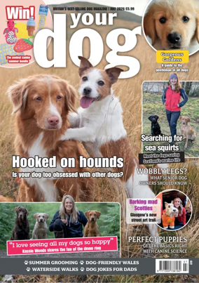 Cover of Your Dog