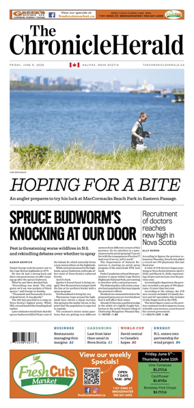 Cover of The Chronicle Herald (Metro)