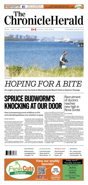 Cover of The Chronicle Herald (Provincial)