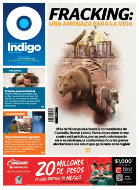 Cover of Reporte Indigo Monterrey