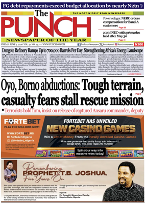Cover of The Punch