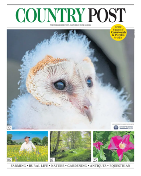 Cover of Country Week