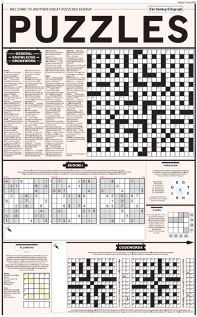 Cover of Puzzles