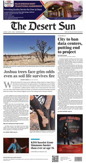 Cover of The Desert Sun