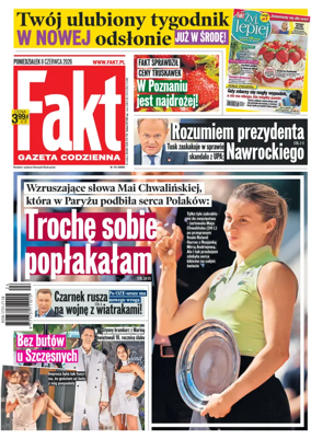 Cover of Fakt