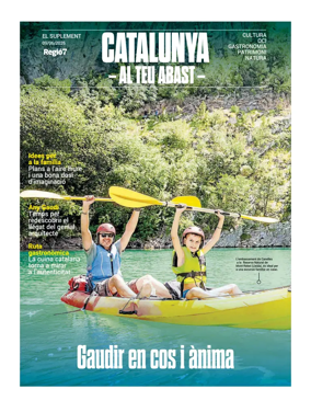 Cover of Suplement1