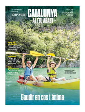 Cover of Suplement2