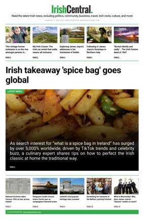 Cover of Irish Central