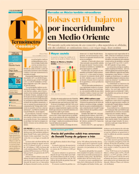 Cover of Termometro Economico