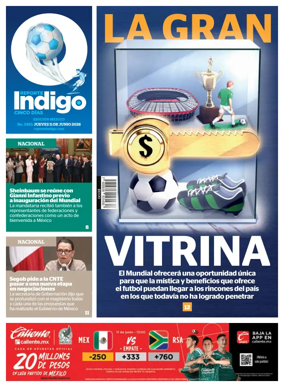 Cover of Reporte Indigo Nacional