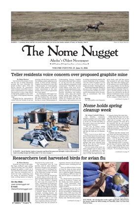 Cover of The Nome Nugget