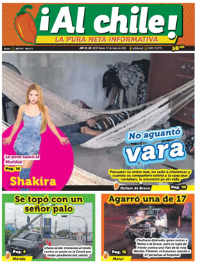 Cover of Al chile
