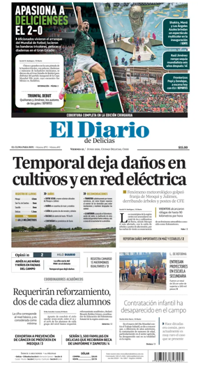 Cover of El Diario de Delicias