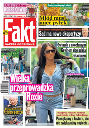Cover of Fakt