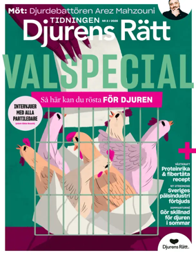 Cover of Djurens Ratt