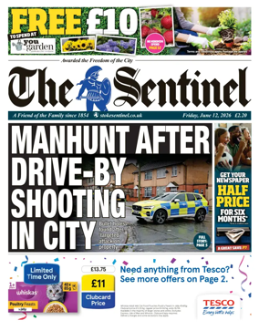 Cover of The Sentinel